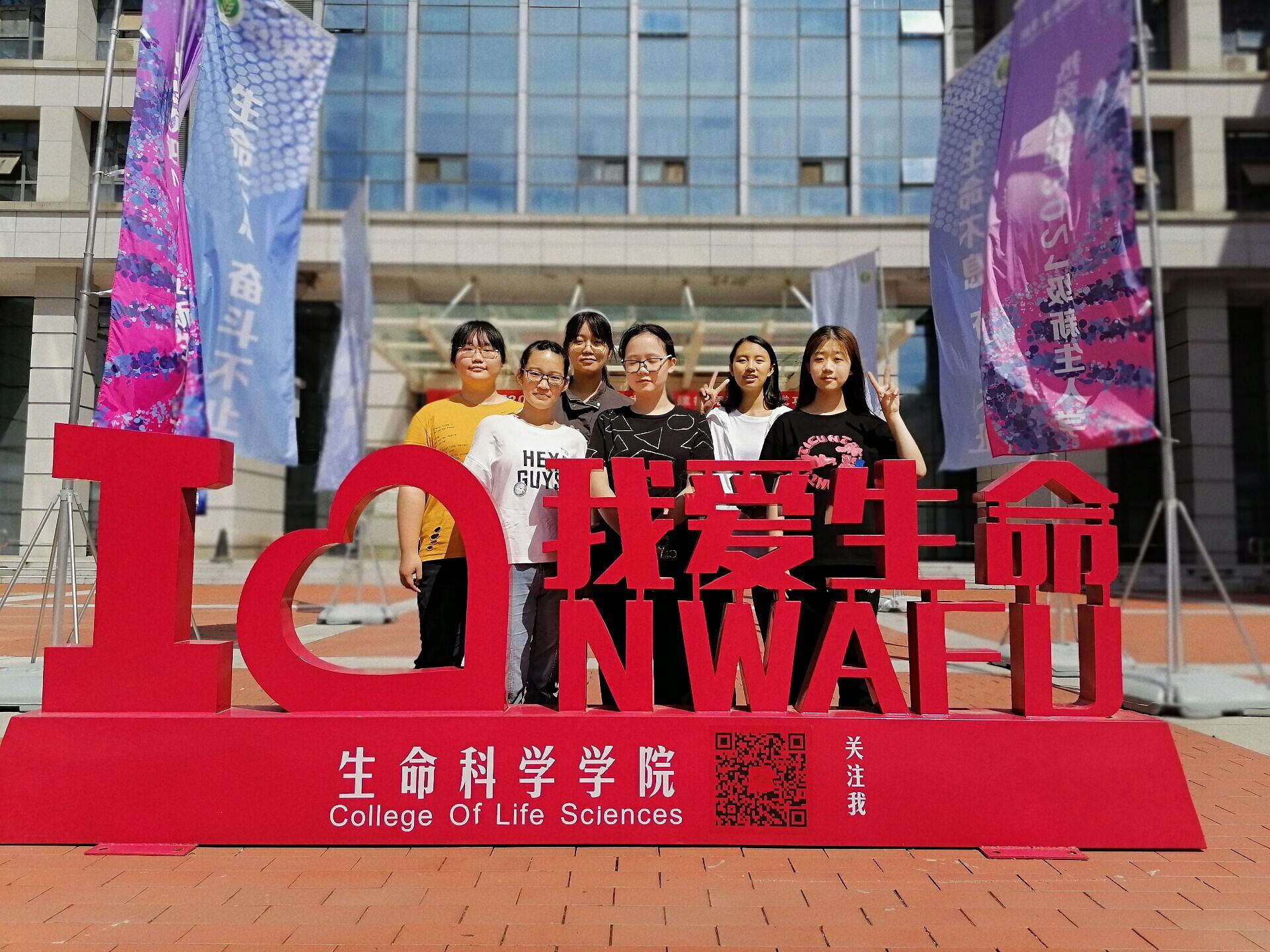 9870eb077fe84af085f7a847abbae6d4.jpg 9870eb077fe84af085f7a847abbae6d4.jpg