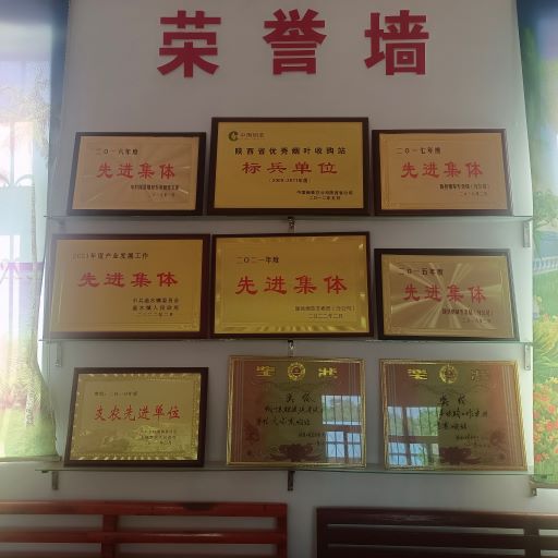 0bce601bc0a7494d88edef14ebed760a.jpg 郭家槽烤烟合作社荣誉墙.jpg
