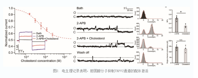 12f601417f484424bb539483ac8bdb10.png image.png